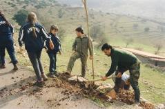 1-dentro palia krimpe